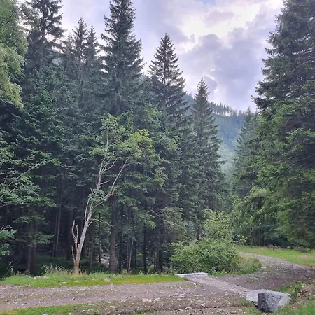 Trzy Szlaki - Gory Na Wyciagniecie Reki, Przy Szlakach Na Sniezke, Wygodnie, Cicho, Spokojnie, Bezplatny Parking Apartment