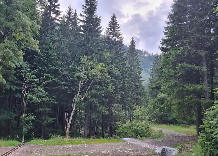 Trzy Szlaki - Gory Na Wyciagniecie Reki, Przy Szlakach Na Sniezke, Wygodnie, Cicho, Spokojnie, Bezplatny Parking Apartment